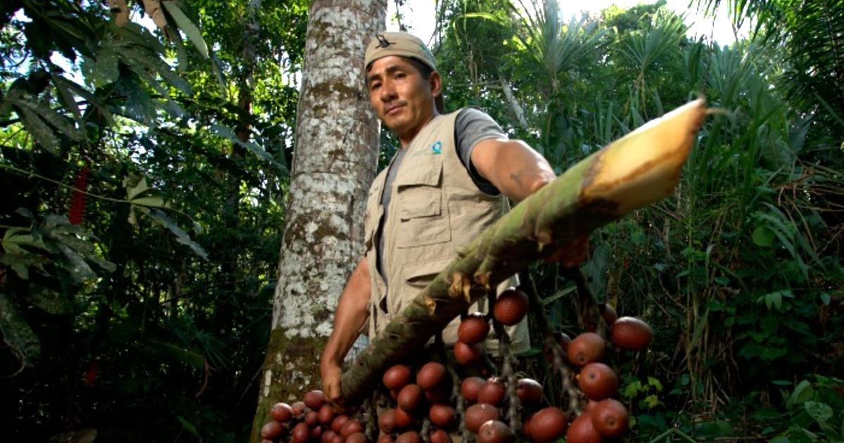 Minam lanza proyecto para conservar biodiversidad en seis regiones del norte
